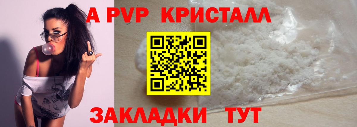 A PVP СК Новый Уренгой