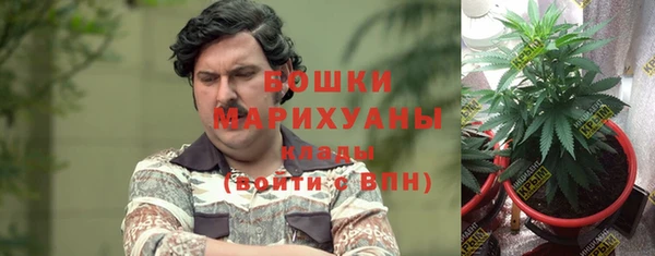 твердый Лиски