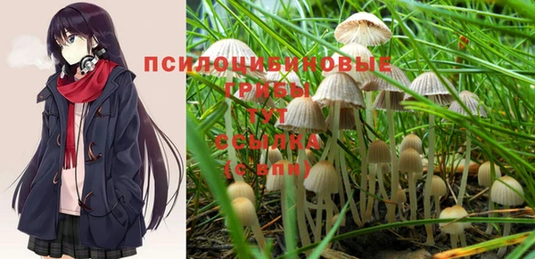 мет Лихославль