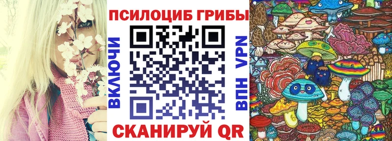Псилоцибиновые грибы Psilocybine cubensis  Новый Уренгой 