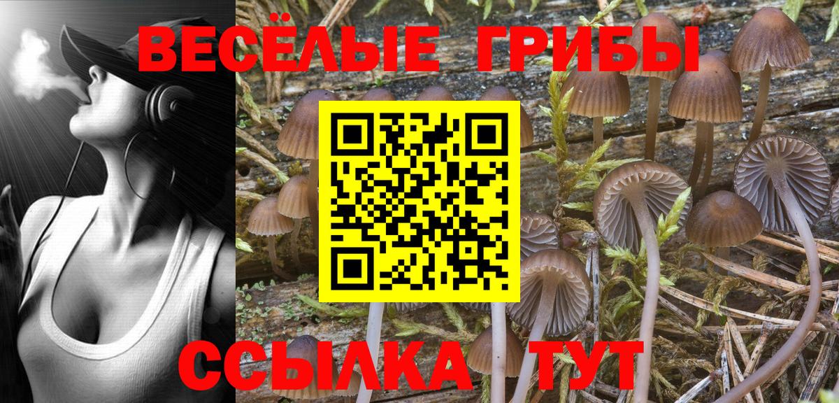 Галлюциногенные грибы ЛСД Новый Уренгой