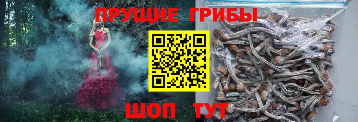 Галлюциногенные грибы мухоморы  Вход с VPN  Новый Уренгой 