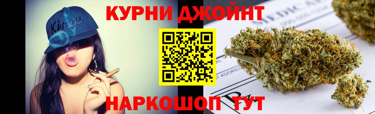 Каннабис сатива Новый Уренгой